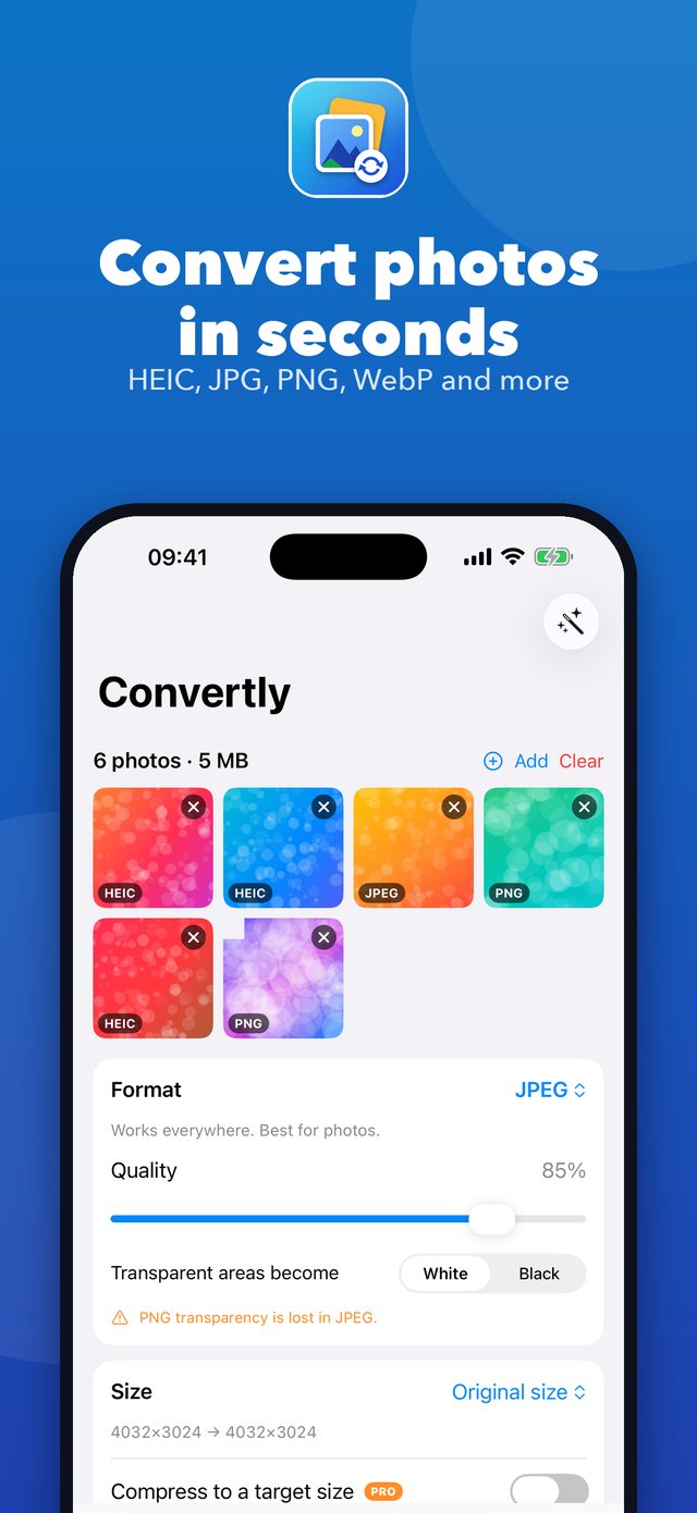 Convertly choosing photos and a format